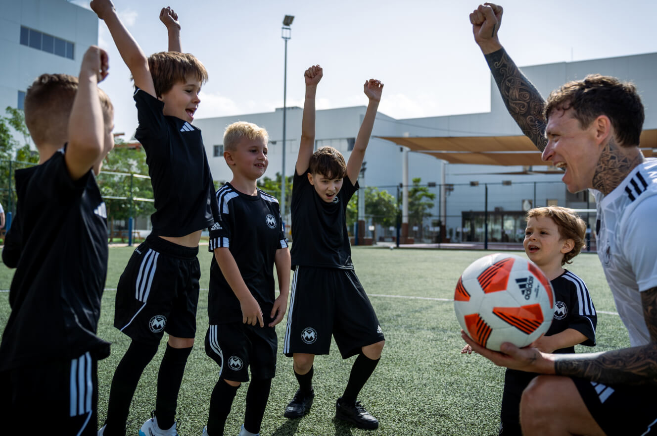 The possibility of viewing in professional academies in Europe